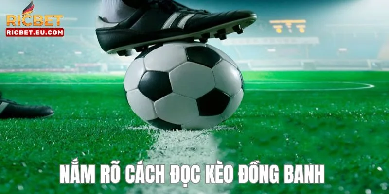 Hiểu rõ cách đọc kèo chơi để có cơ hội nhận thưởng cực lớn.